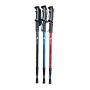 Gậy leo núi Camel Straight Hiking Poles 2SA7D41-1