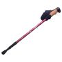 Gậy leo núi chống sốc Ryder Straight-Bar Hiking Pole G0001 - 3293