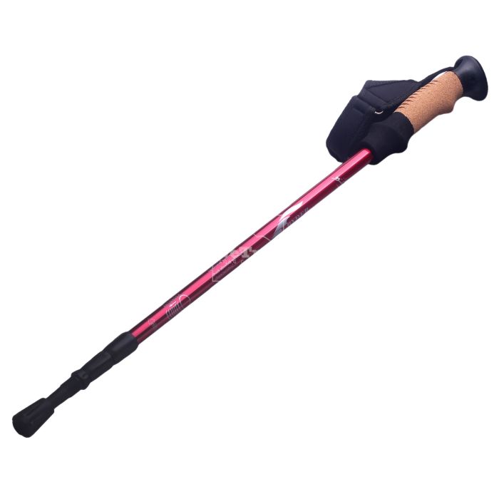 Gậy leo núi chống sốc Ryder Straight-Bar Hiking Pole G0001 - 3293