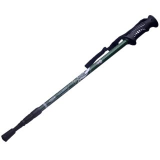 Gậy leo núi 3 khúc Ryder Straight-Bar Hiking Pole G0122 - 1489