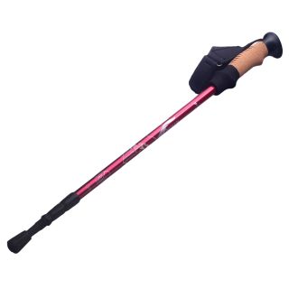 Gậy leo núi chống sốc Ryder Straight-Bar Hiking Pole G0001 - 3293